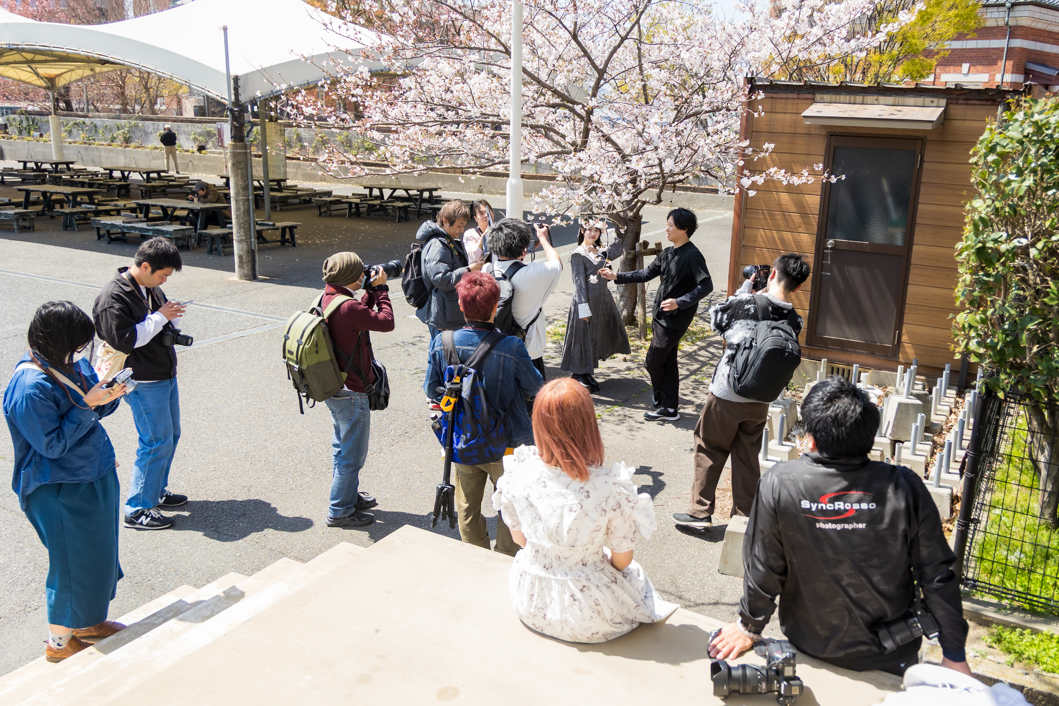 ギャラリー写真 3